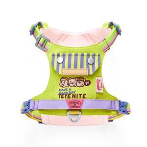 Harnais gilet pour petit chien dans un coloris graphique