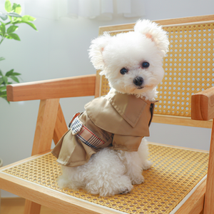 Trench kaki pour chien, porté en situation